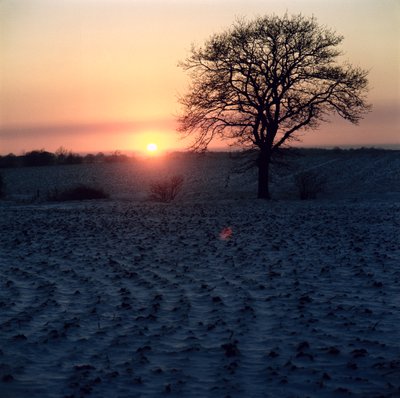 Winter Sunset, Essex by Unbekannt Unbekannt